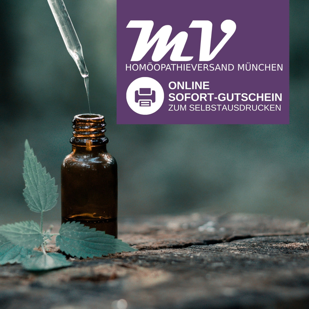 MV-Versand Online Sofort-Gutschein