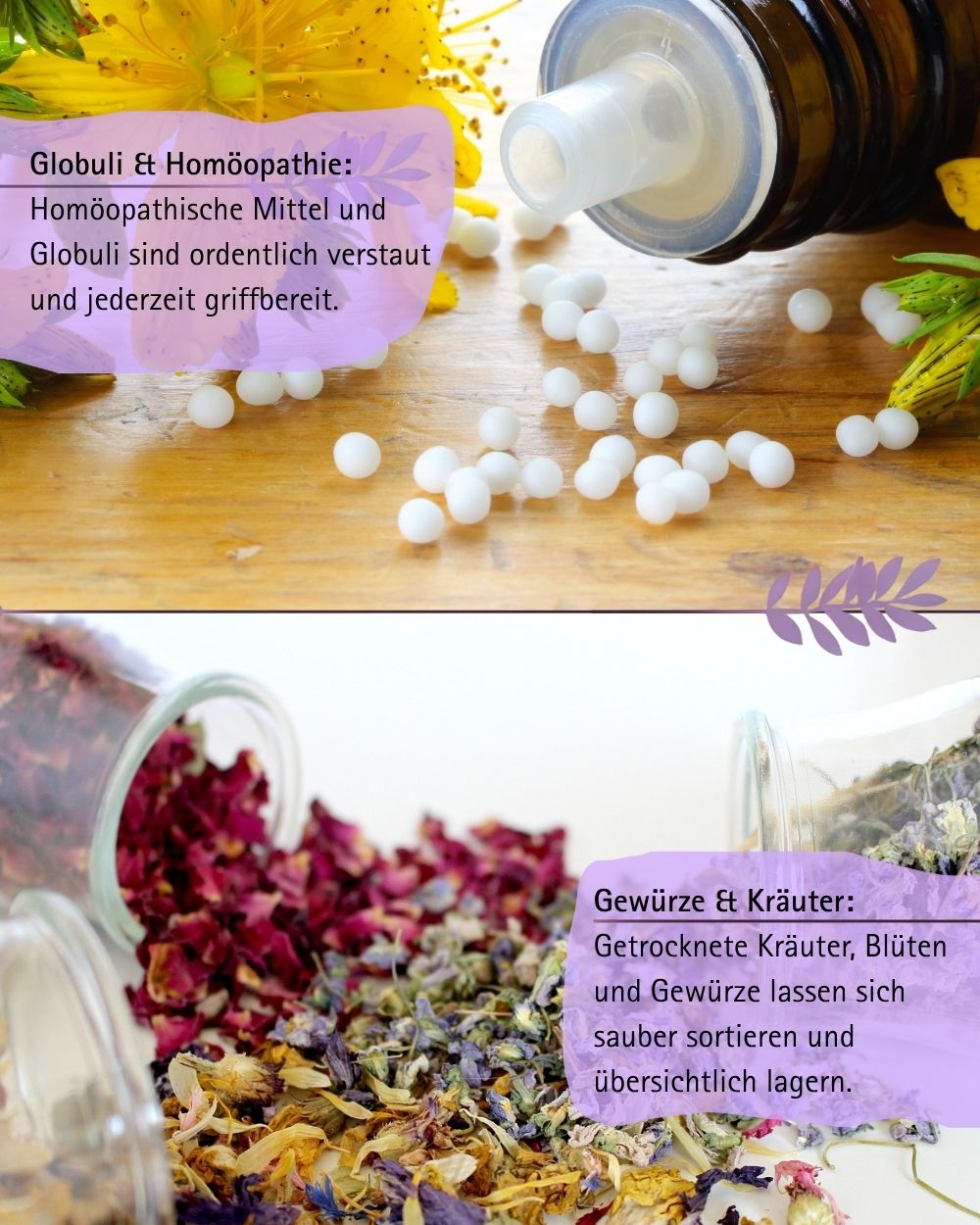 Lavendel 12 -64 Gläser