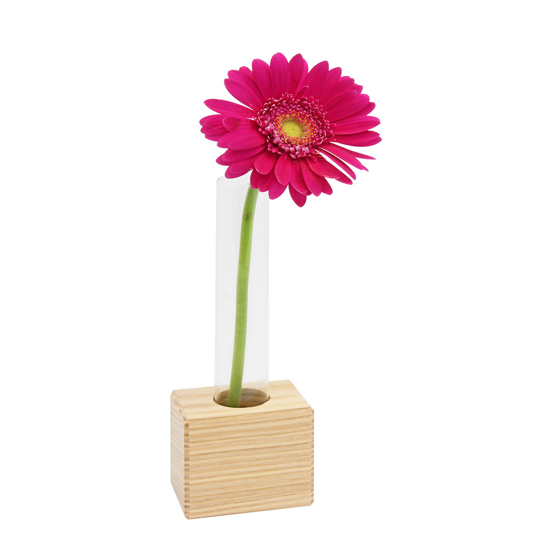 Reagenzglasständer aus Birkenholz mit 1 Reagenzglas & Korken 145 x 23,75 mm – Gewürzgläser für Kräuter, Blumen & Deko – Reagenzglashalter aus Esche für Küche und Tischdeko