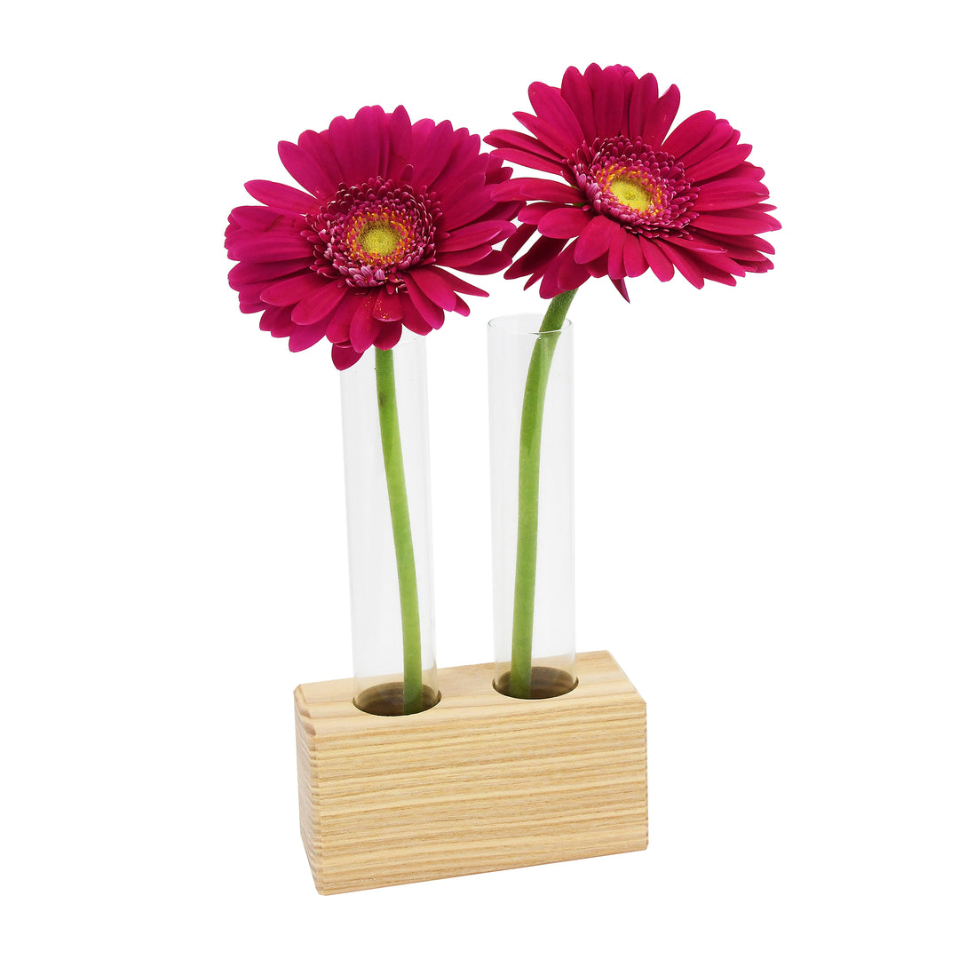 Reagenzglasständer aus Birkenholz mit 2 Reagenzgläsern & Korken 145 x 23,75 mm – Gewürzgläser für Kräuter, Blumen & Deko – Reagenzglashalter aus Esche für Küche und Tischdeko