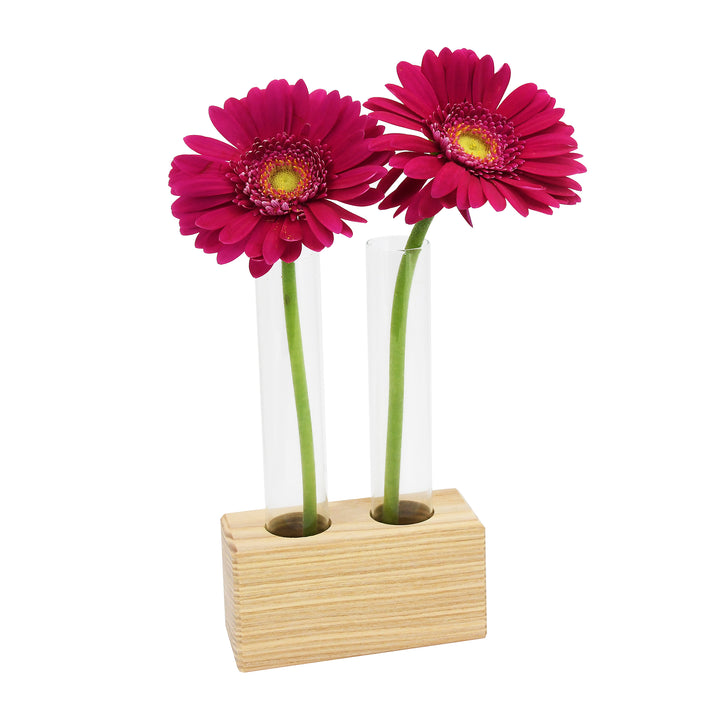 Reagenzglasständer aus Birkenholz mit 2 Reagenzgläsern & Korken 145 x 23,75 mm – Gewürzgläser für Kräuter, Blumen & Deko – Reagenzglashalter aus Esche für Küche und Tischdeko