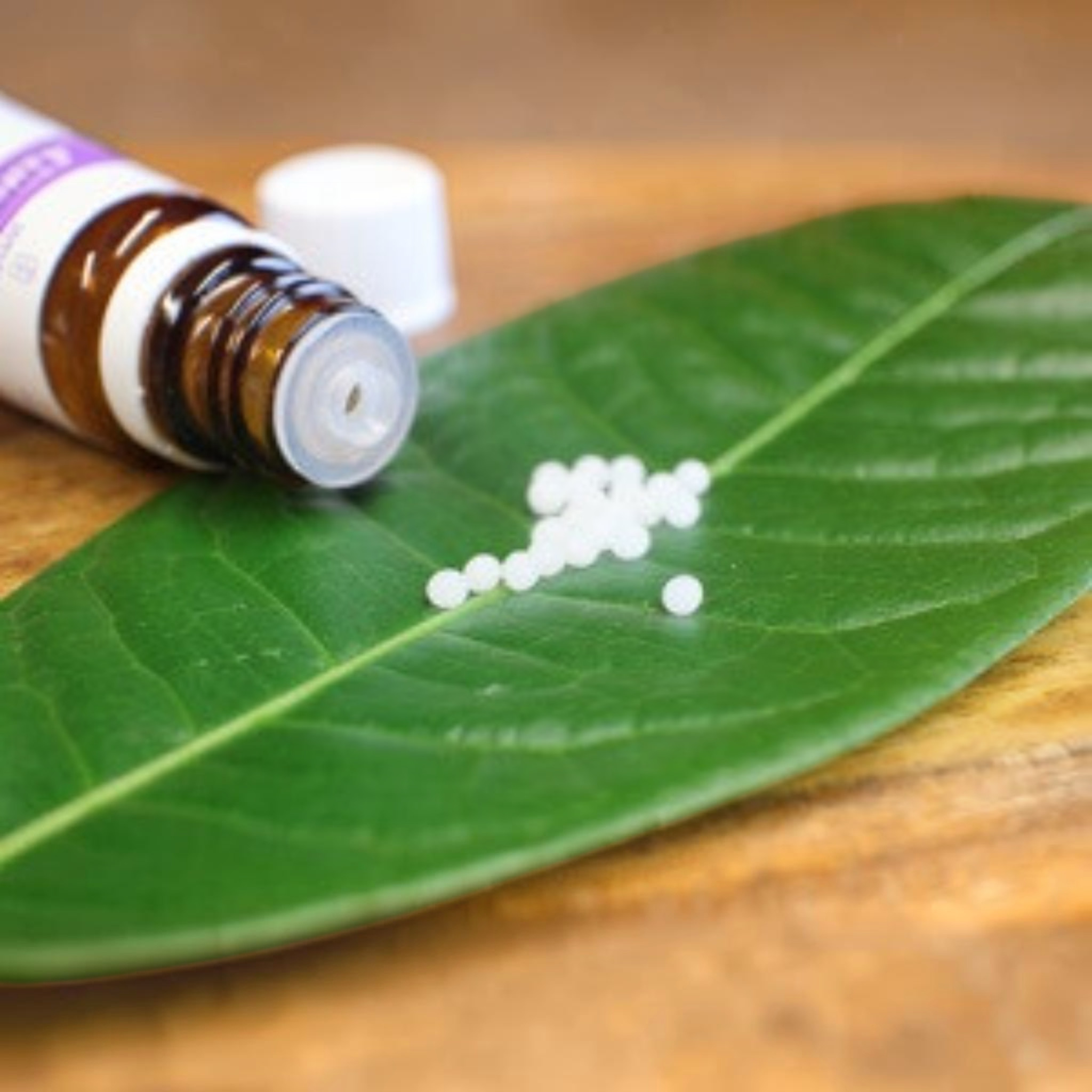 Grundlagen der Homöopathie