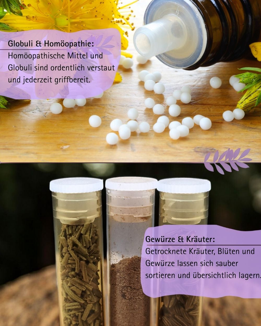 Flachbodengläser 50mm x ø 14mm AR-Klarglas und Illax-Braunglas